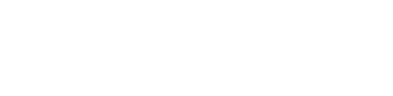   Poor Access to Health Care & Health Information Physical Inactivity   Poor Nutrition Exposure To Violence   Chronic   
