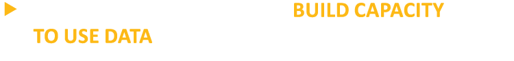 Helping community partners build capacity to use data to support and sustain their efforts 