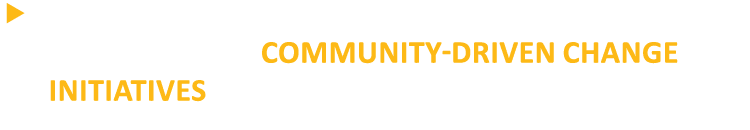   Partnering with a wide variety of cross-sector stakeholders on community-driven change initiatives 