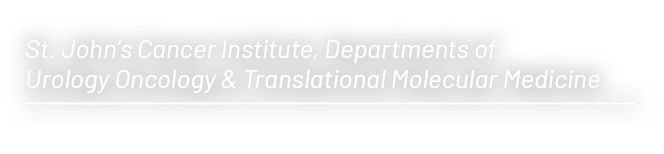 St. John’s Cancer Institute, Departments of Urology Oncology & Translational Molecular Medicine 